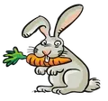 Picture - (max-width: 767px)
