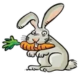 Picture - (max-width: 767px)
