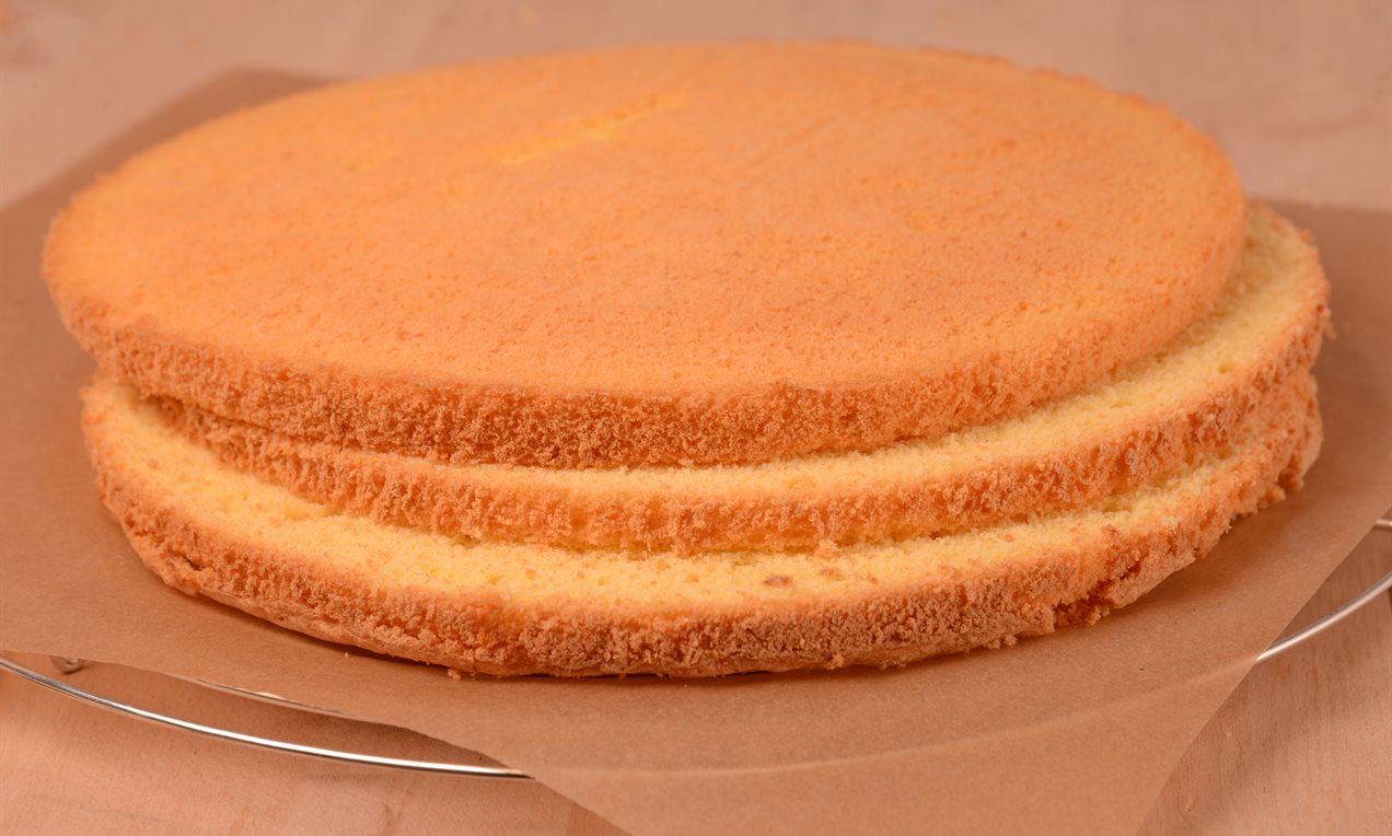 6 munan kakkupohja